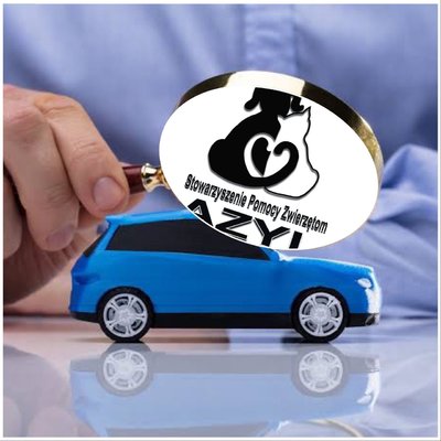 PRZEGLĄD TWOJEGO AUTA + rabat na ewentualne naprawy: Uwaga! Cały dochód z tej oferty przekazany jest na schronisko AZORKI!