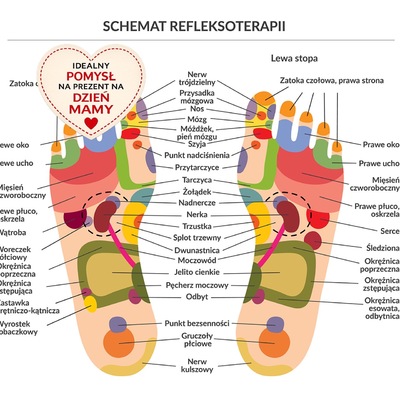 REFLEKSOLOGIA STÓP – GŁĘBOKI RELAKS I NATURALNE POBUDZENIE ORGANIZMU: ulga dla ciała, wyciszenie dla głowy i wsparcie organizmu od środka.